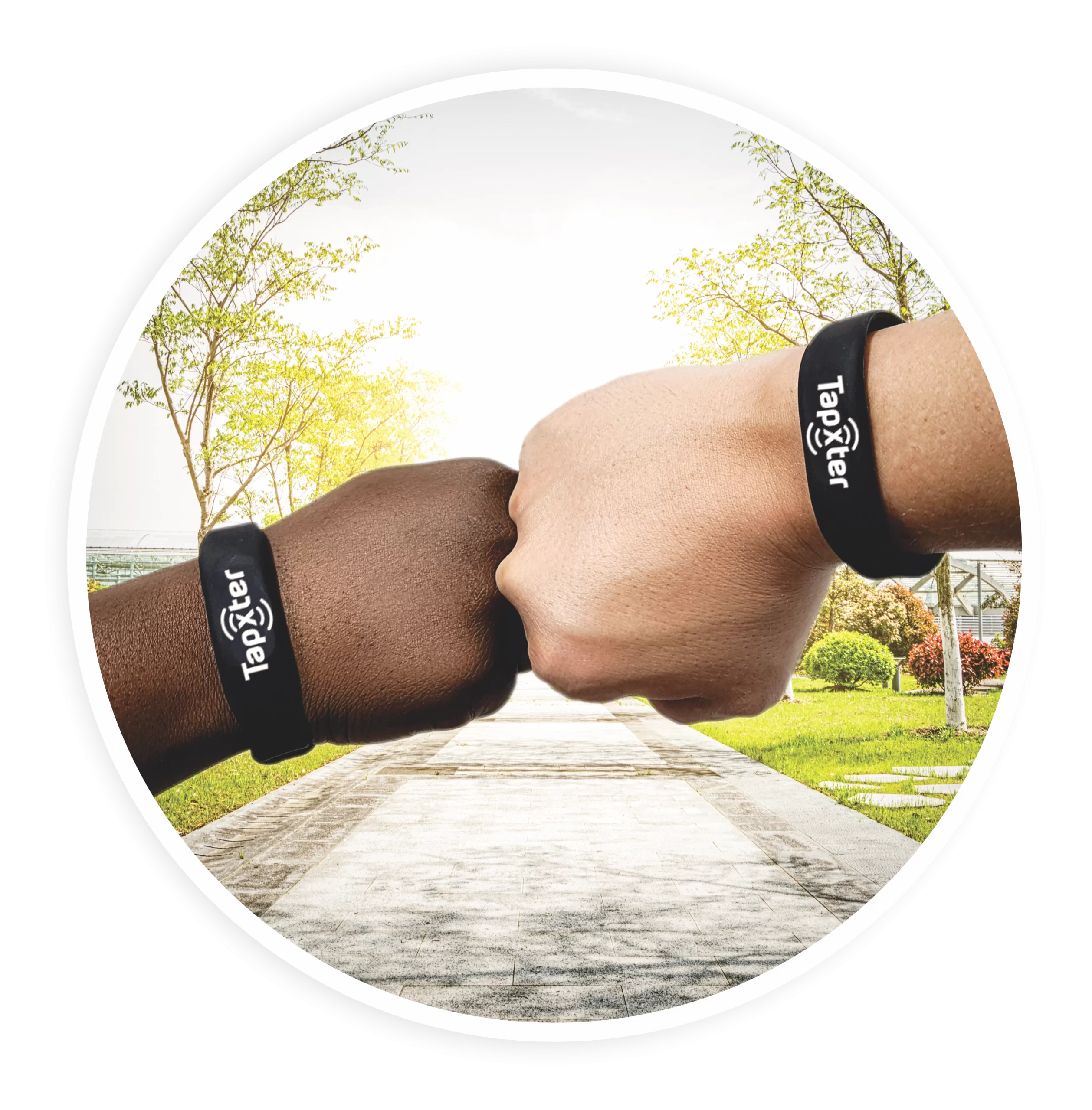 Pulsera tapxter